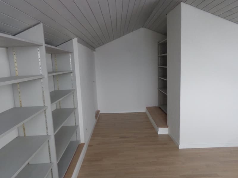 Appartement spacieux avec cheminée et vue sur les environs verts (10)