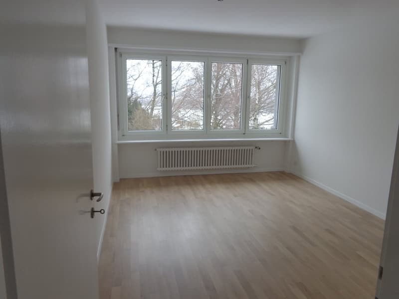 Appartement spacieux avec cheminée et vue sur les environs verts (11)