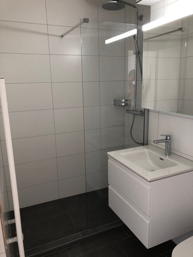 SINGEL : Wir bieten eine 1,5 Zimmerwohnung nach Totalsanierung an (9)