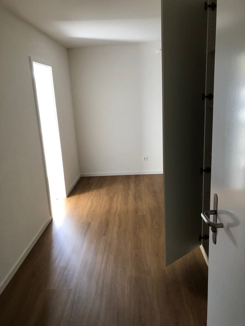 SINGEL : Wir bieten eine 1,5 Zimmerwohnung nach Totalsanierung an (2)