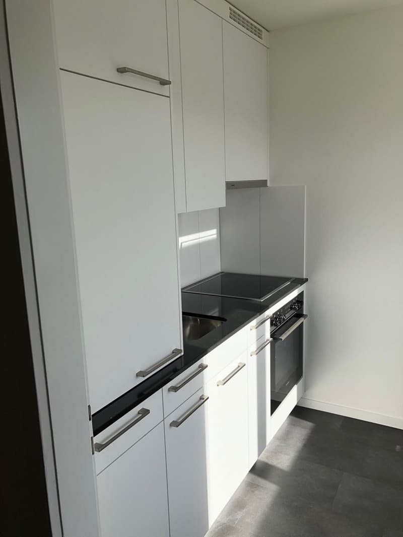 SINGEL : Wir bieten eine 1,5 Zimmerwohnung nach Totalsanierung an (5)