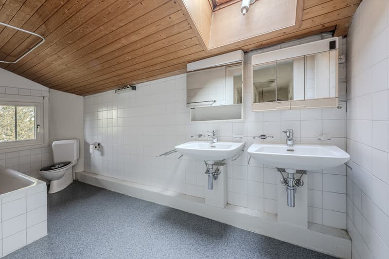 Bad / WC