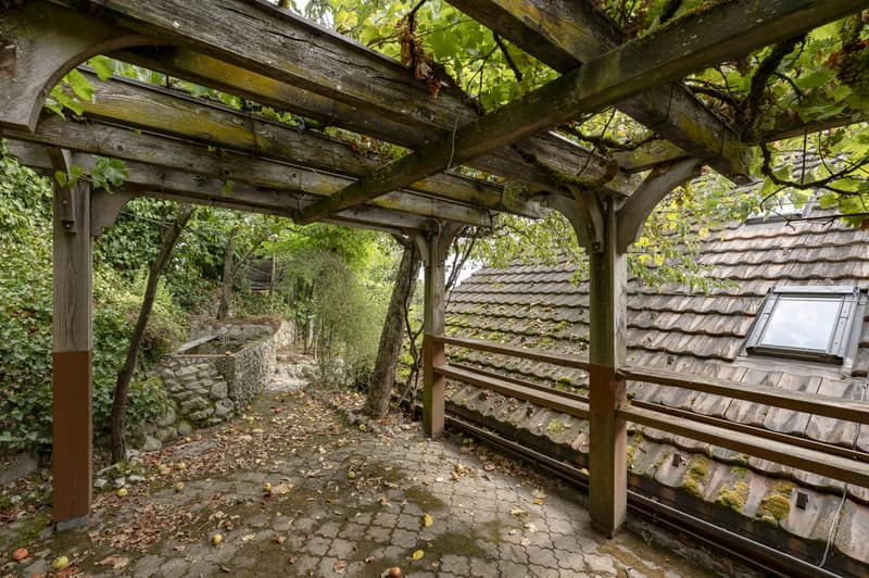 Garten / Pergola
