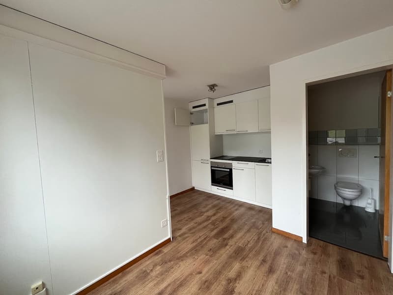 open plan kitchen with white cabinetry and wooden flooring, white sink, black countertops, built-in oven, extractor hood, adjacent bathroom with toilet and sink