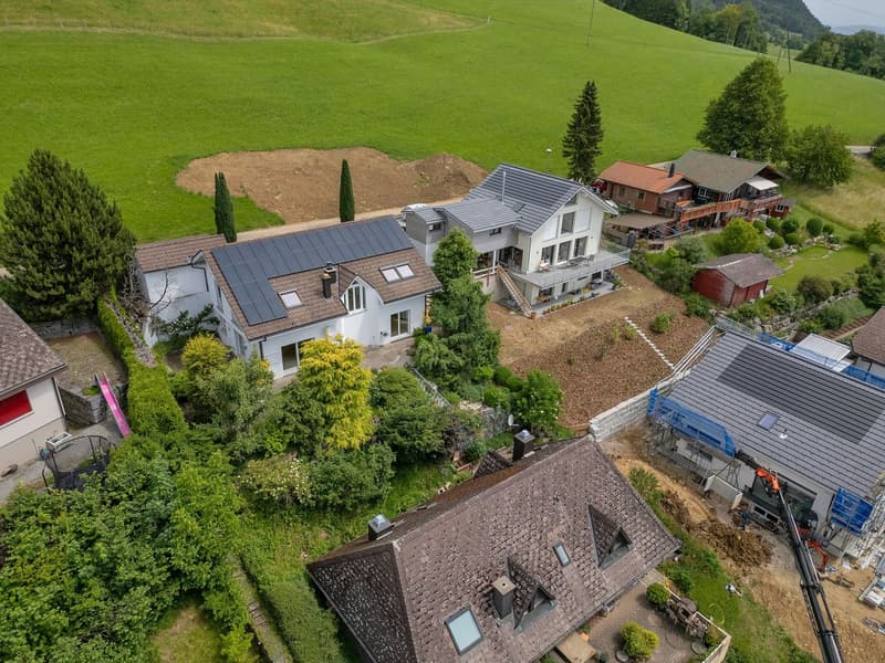 Maison unifamiliale dépendante de 5,5 pièces au-dessus de la mer de brouillard (1)