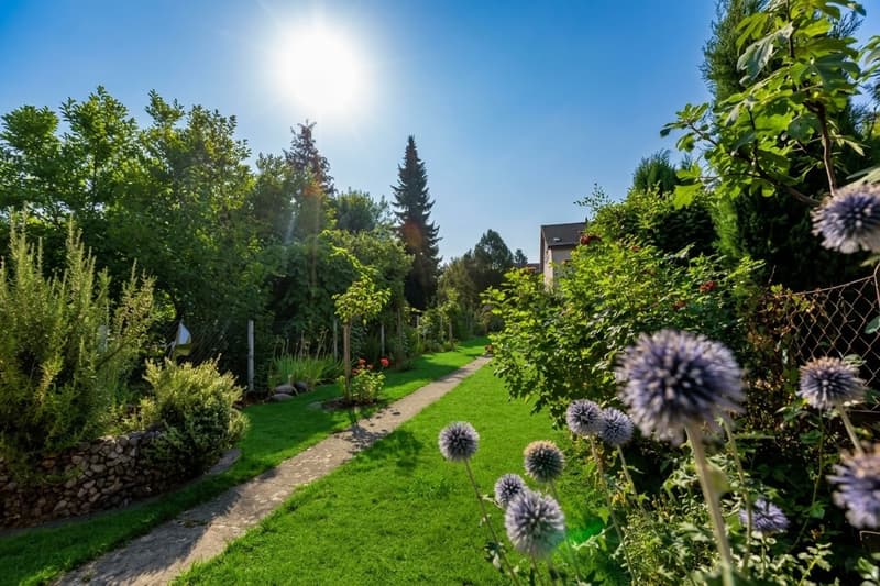4.5-Zimmer Reiheneinfamilienhaus an idealer und ruhiger Lage (3)