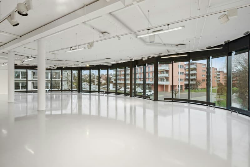 Ideale Ausstellungs- und Verkaufsflächen in repräsentativem, modernen Gebäude (1)