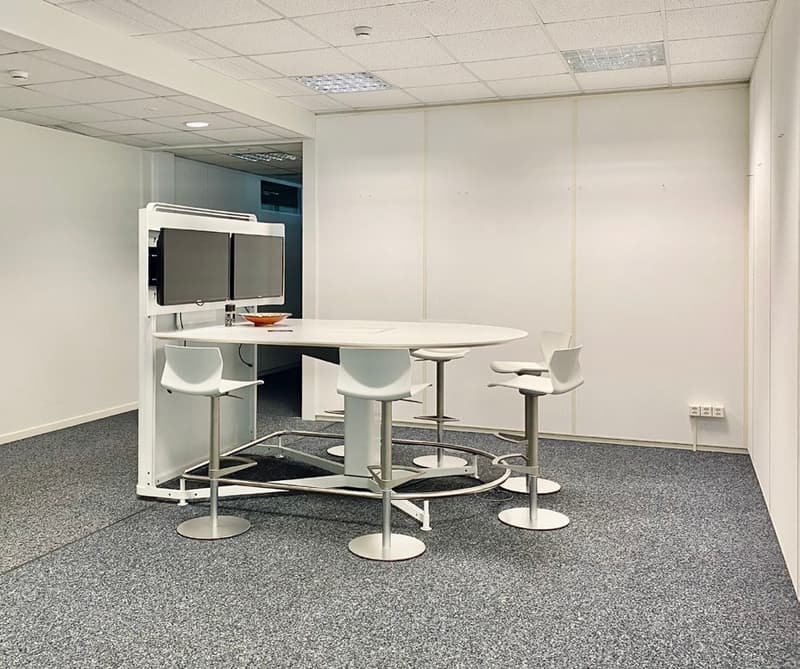 Büro 270 m² in Allschwil BL (13)