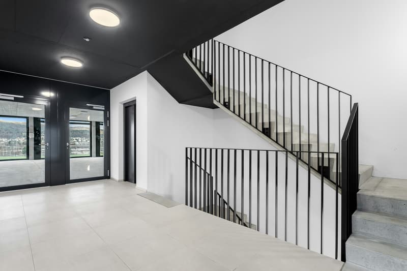 Spacious commercial spaces from 130m2 in Spreitenbach (4)