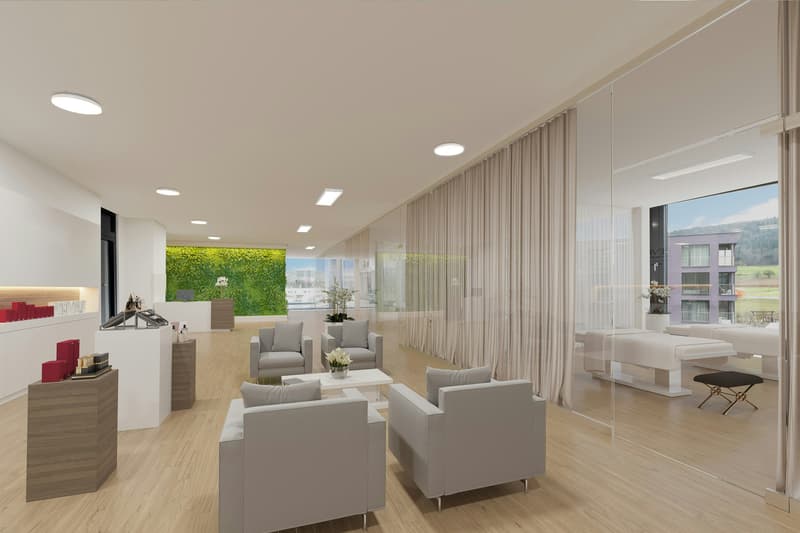 Spacious commercial spaces from 130m2 in Spreitenbach (2)