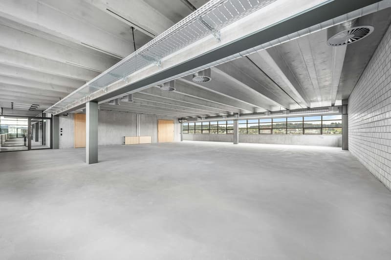 Espaces de bureau et commerciaux modernes (mixtes) dans le nouveau quartier de Zwhatt à partir de 300 m2 (2)