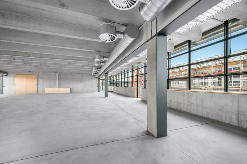 Espaces de bureau et commerciaux modernes (mixtes) dans le nouveau quartier de Zwhatt à partir de 300 m2 (3)