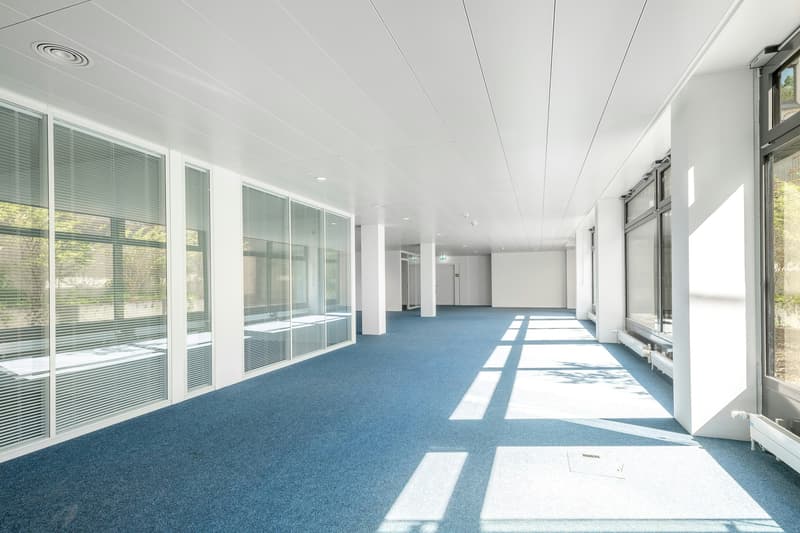 Büro - Souterrain
