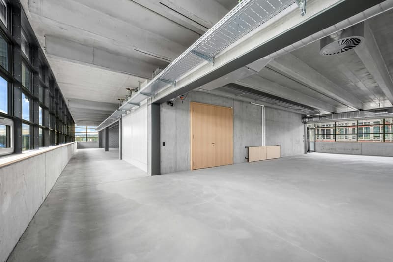 Combined office and commercial space in the new Zwhatt area from 300 m2 (2)