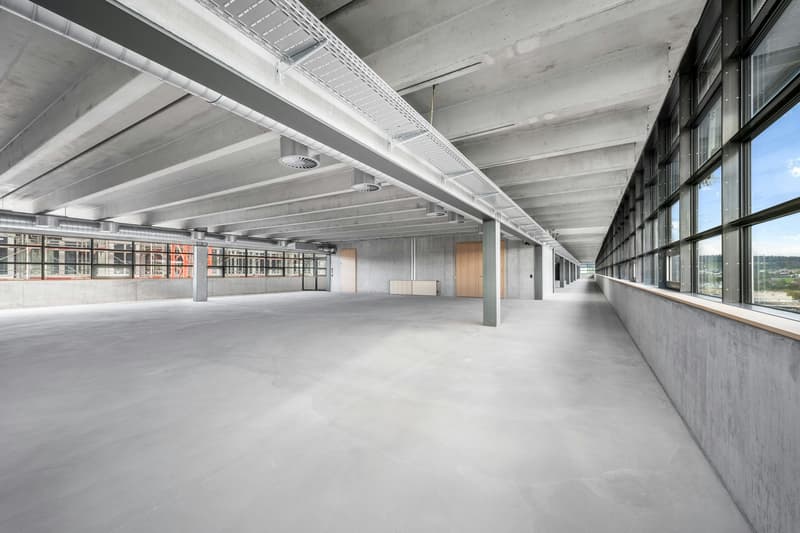 Spazi commerciali e uffici moderni da 1'200 m2 o più (4)