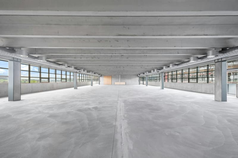 Spazi commerciali e uffici moderni da 1'200 m2 o più (3)
