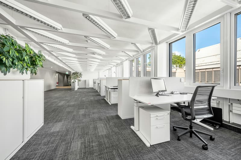 Openspace Büro