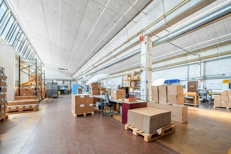 Shedhalle