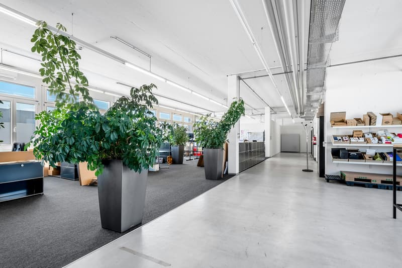 Individueller Ausbau Gewerbefläche