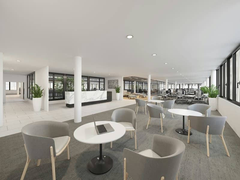 Bureaux, cabinets ou showrooms de 150 m2 à 1'120 m2 différemment : inondés de lumière et avec une touche de patio (3)