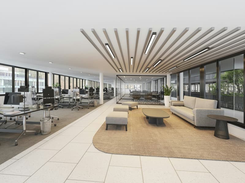 Offices, practices, or showrooms from 150 m2 to 1'120 m2 in a different way: flooded with light and with patio flair (4)