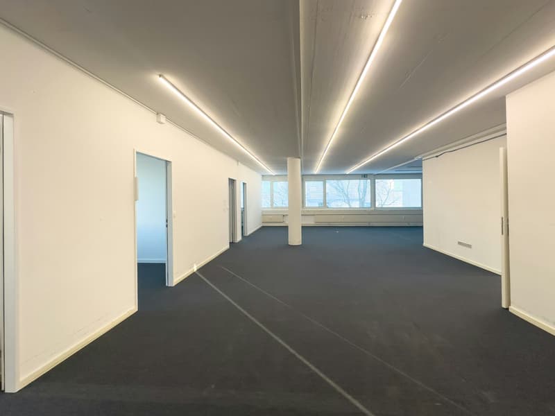 Definisci il tuo futuro: migliori uffici e spazi commerciali ad Allschwil (4)