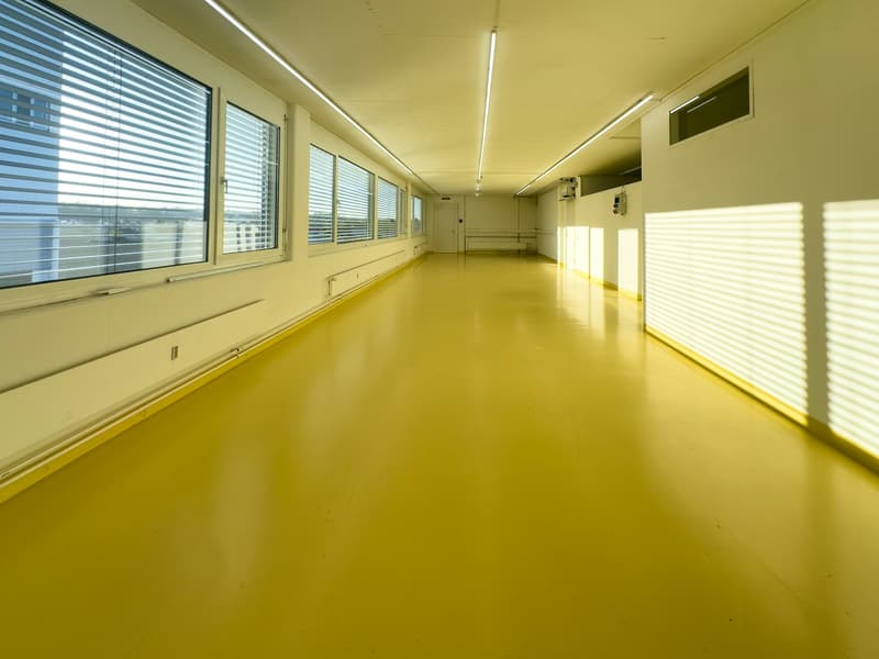 Definisci il tuo futuro: migliori uffici e spazi commerciali ad Allschwil (6)