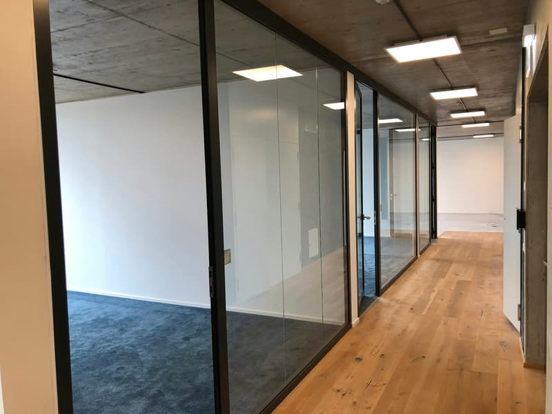 Corporate hotspot Rietpark Schlieren (10)