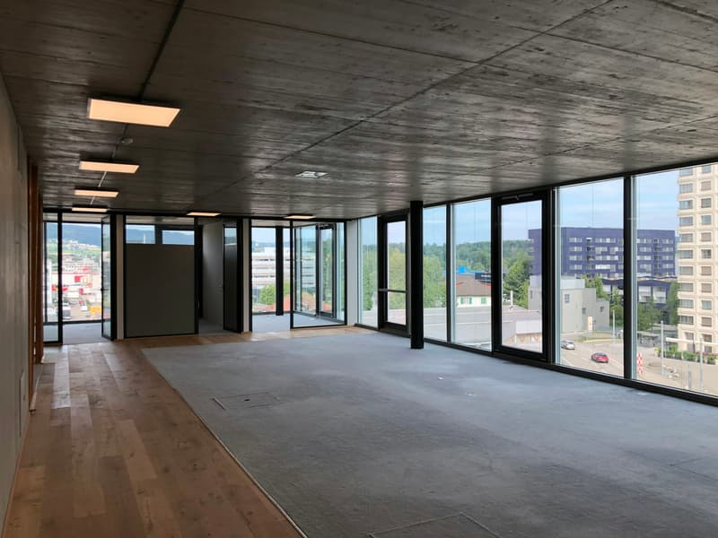 Corporate hotspot Rietpark Schlieren (9)