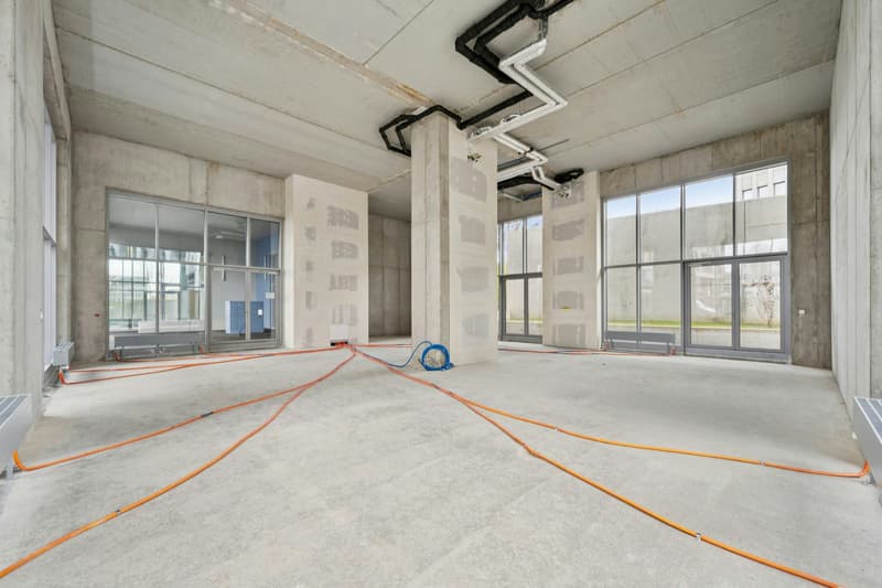 Gewerbefläche mit Charakter - ca. 182 m² am Bahnhof Muttenz (2)