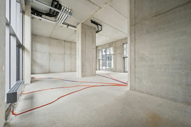 Gewerbefläche mit Charakter - ca. 182 m² am Bahnhof Muttenz (4)