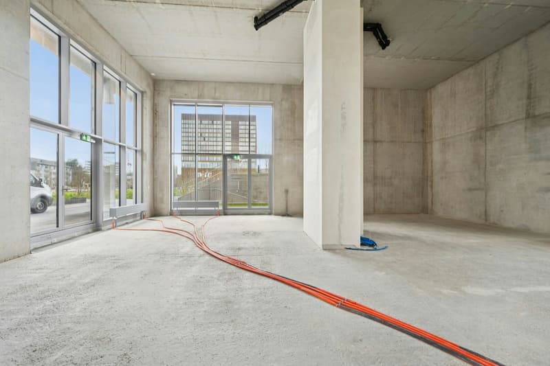 Raum für visionäre Nutzungskonzepte - ca. 146 m² am Bahnhof Muttenz (2)