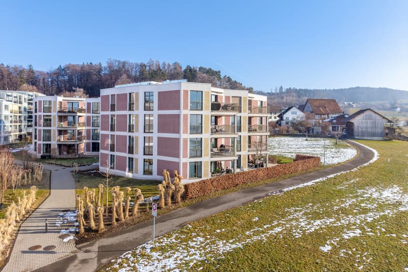 Modernes Wohnen im Grünen - 2.5-Zimmer-Wohnung in Wetzikon (12)