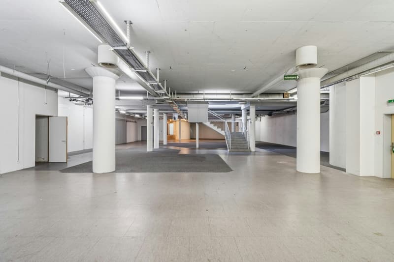 Space for Visions: Spacious Commercial Space in lively Kleinbasel (7)