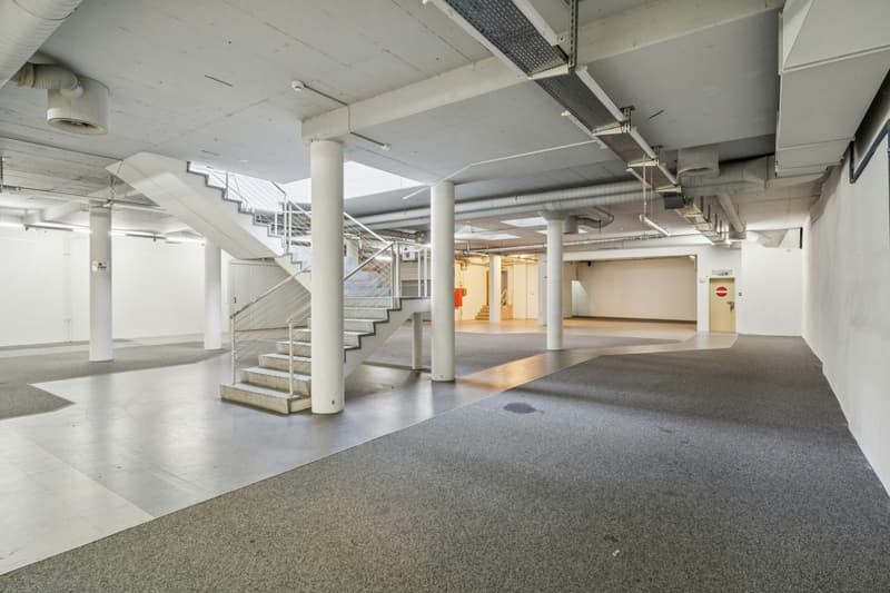 Space for Visions: Spacious Commercial Space in lively Kleinbasel (8)