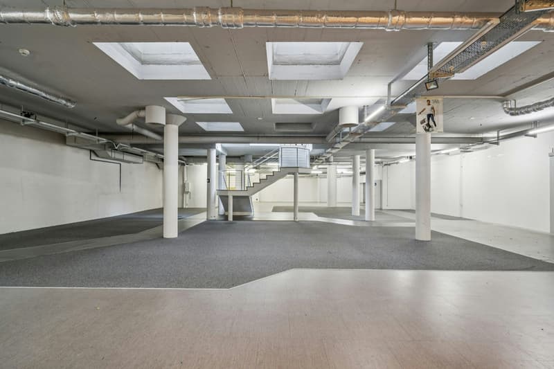 Space for Visions: Spacious Commercial Space in lively Kleinbasel (9)