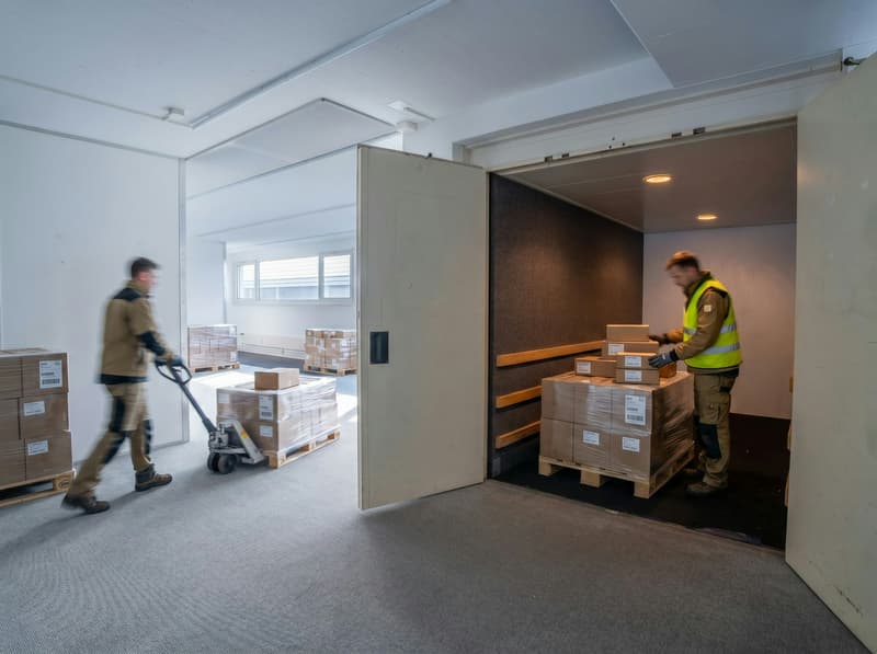 The optimal commercial space in Allschwil (5)