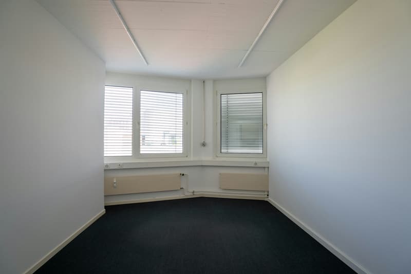 The optimal commercial space in Allschwil (8)