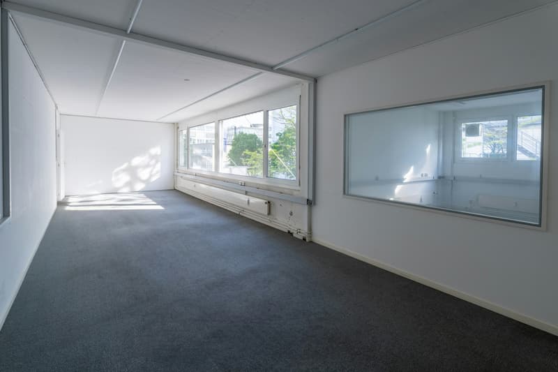 The optimal commercial space in Allschwil (6)