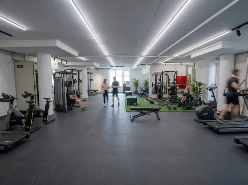 The optimal commercial space in Allschwil (4)