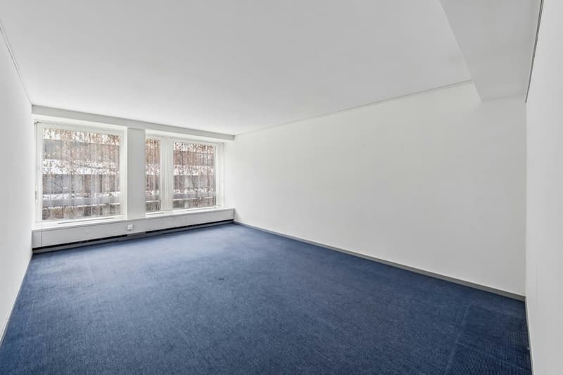 City Office Basel - Flexibles Arbeiten am Puls der Stadt (5)