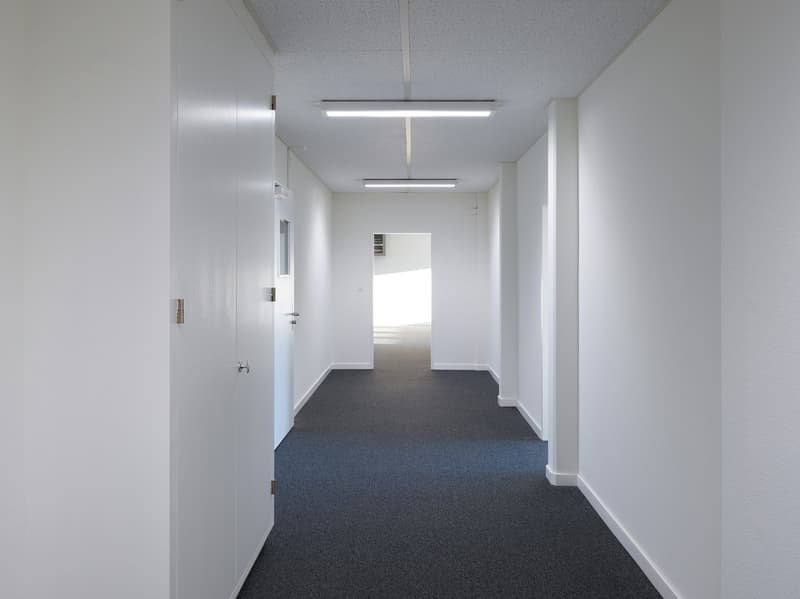 Travailler où vit Bâle - Espace de bureau avec caractère 1 mois gratuit (9)