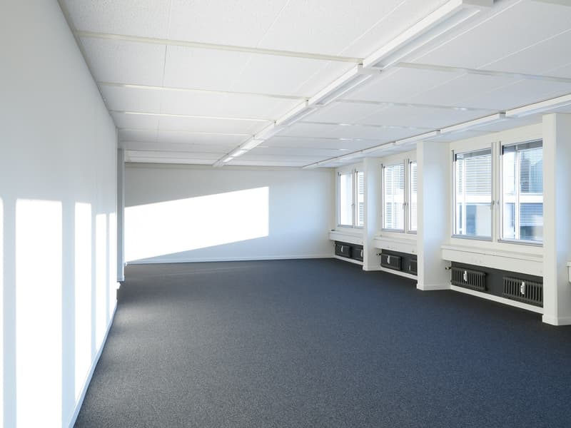 Travailler où vit Bâle - Espace de bureau avec caractère 1 mois gratuit (7)