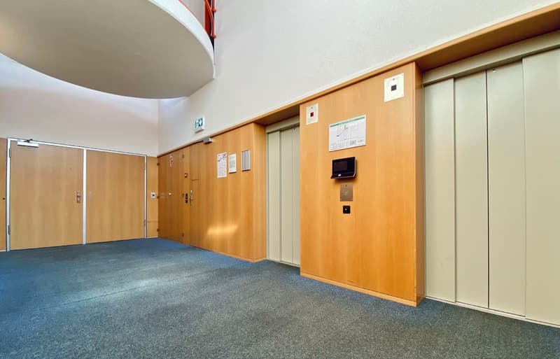 Raumwerk Allschwil-Gewerbe ab 920m²in Allschwil BL (6)