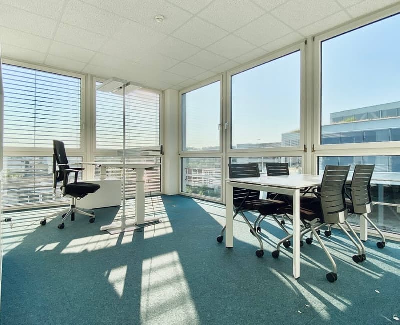 Diversi spazi ufficiali in affitto da 750 m² (4)