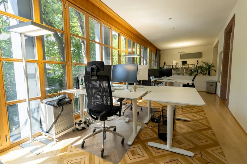 Historische Bürofläche auf 195m2 im Herzen von Basel (2)
