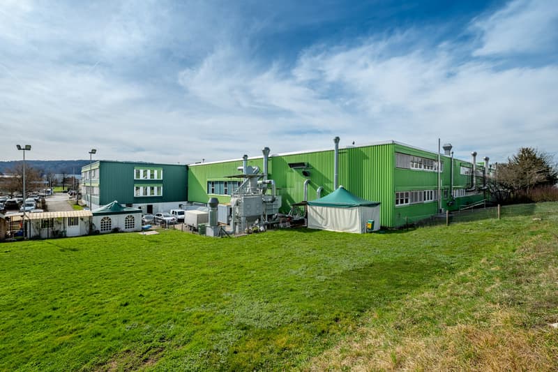 Produktionsstandort mit Zukunft - 7'500 m² flexibel nutzbare Gewerbefläche (2)