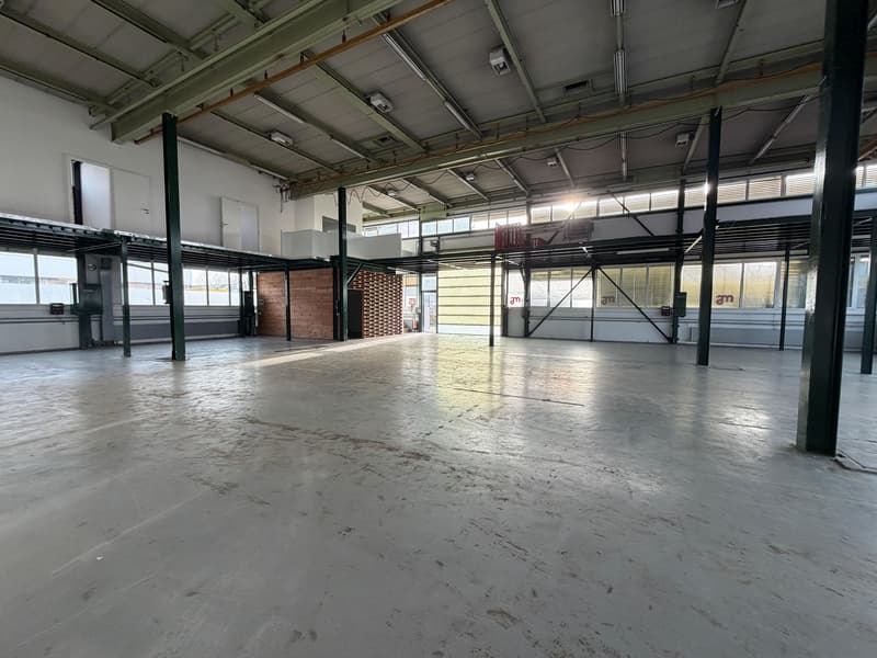 Spazio commerciale a Winterthur (5)