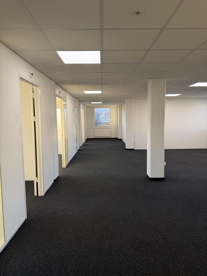 Office for Rent: Space for Ideas & Growth (3)
