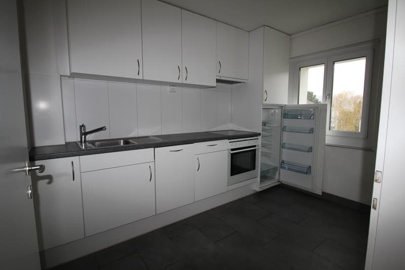 Vivere in un ambiente accogliente nel verde & vivere l'esperienza di Zurigo vicino! (2)